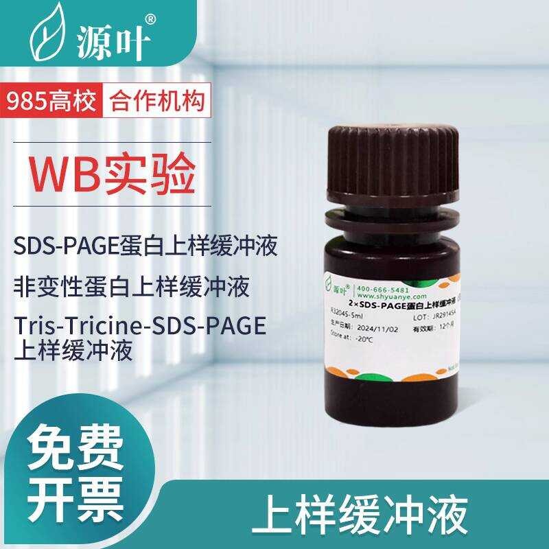 บัฟเฟอร์ตัวอย่างโปรตีนจากใบไม้ SDS-PAGE/ไม่ทำให้เสียสภาพ/บัฟเฟอร์ TrisTricine-SDS-PAGE