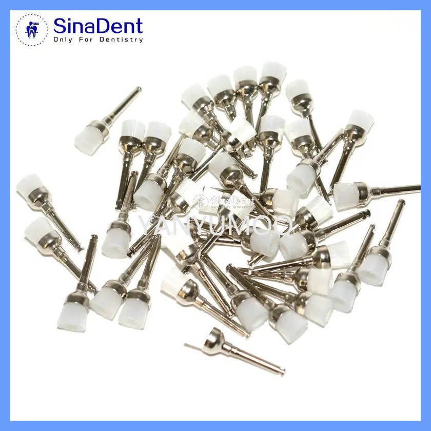 aa Dental Nylon Polishing Brushes 50pcs 100pcs Bowl Shape Dental Prophy Brush Prophylaxis Brush for