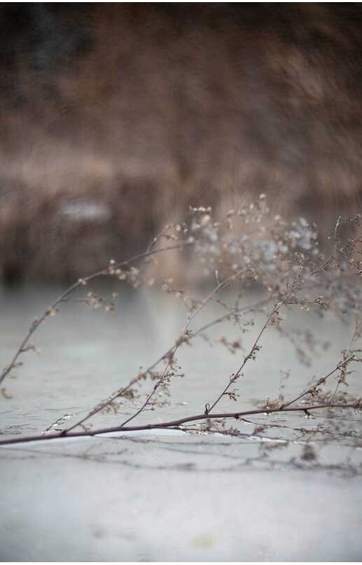 Δ Roadfisher Metal Swirly Bokeh Effect Rotary Filter สำหรับ Canon Nikonsoni เลนส์ร