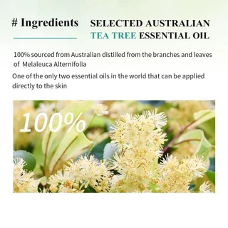 BREYLEE Tea Tree Essence แผ่นแปะสิว Lighten Acne Marks กันน้ํา Moisturizing Mask Patch