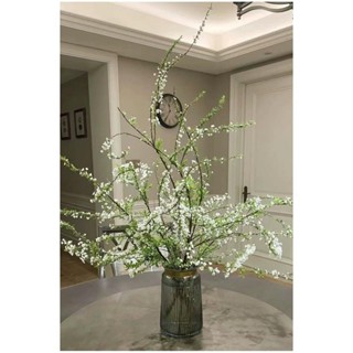 สโนว์วิลโลว์กิ่งสดพืชดอกไม้กระถางไฮโดรโพนิกดูดซับฟอร์มาลดีไฮ…