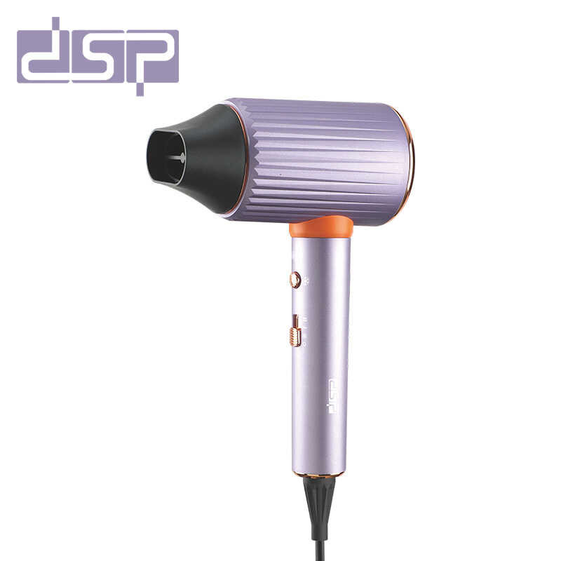 DSP/Dansong เครื่องเป่าผมความเร็วสูงในครัวเรือนร้านตัดผม Universal High-Power Hair Care เครื่องเป่าผ