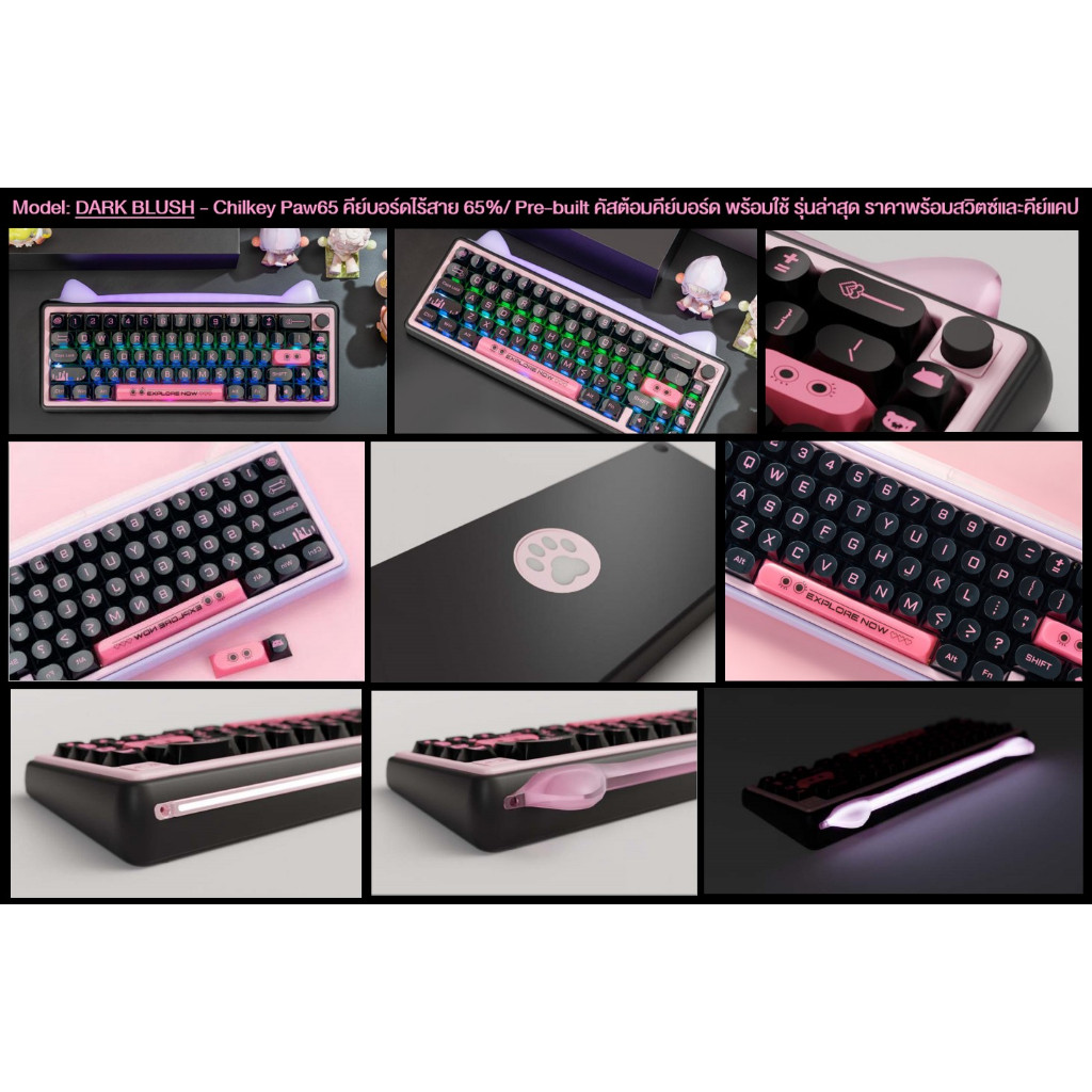 (พร้อมส่ง) คีย์บอร์ด ไร้สาย ครบชุด พร้อมใช้ Chilkey Paw65 65% gasket completed set keyboard