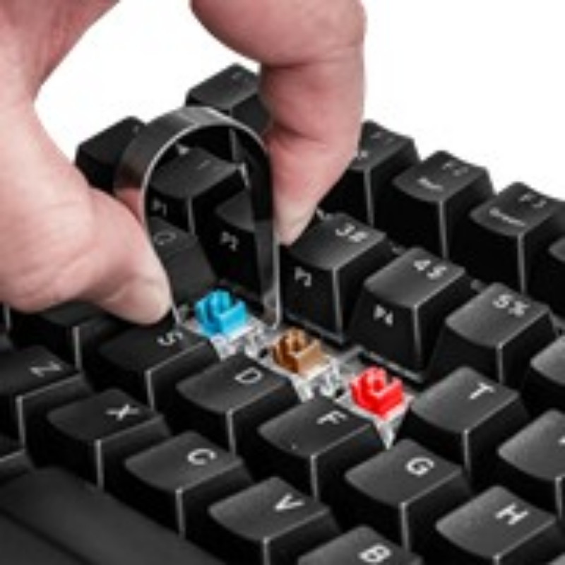พร้อมส่ง  KEYBOARD COOLER MASTER CK351 RGB (BLUE/RED-SWITCH) (TH) รับประกัน 2 ปี