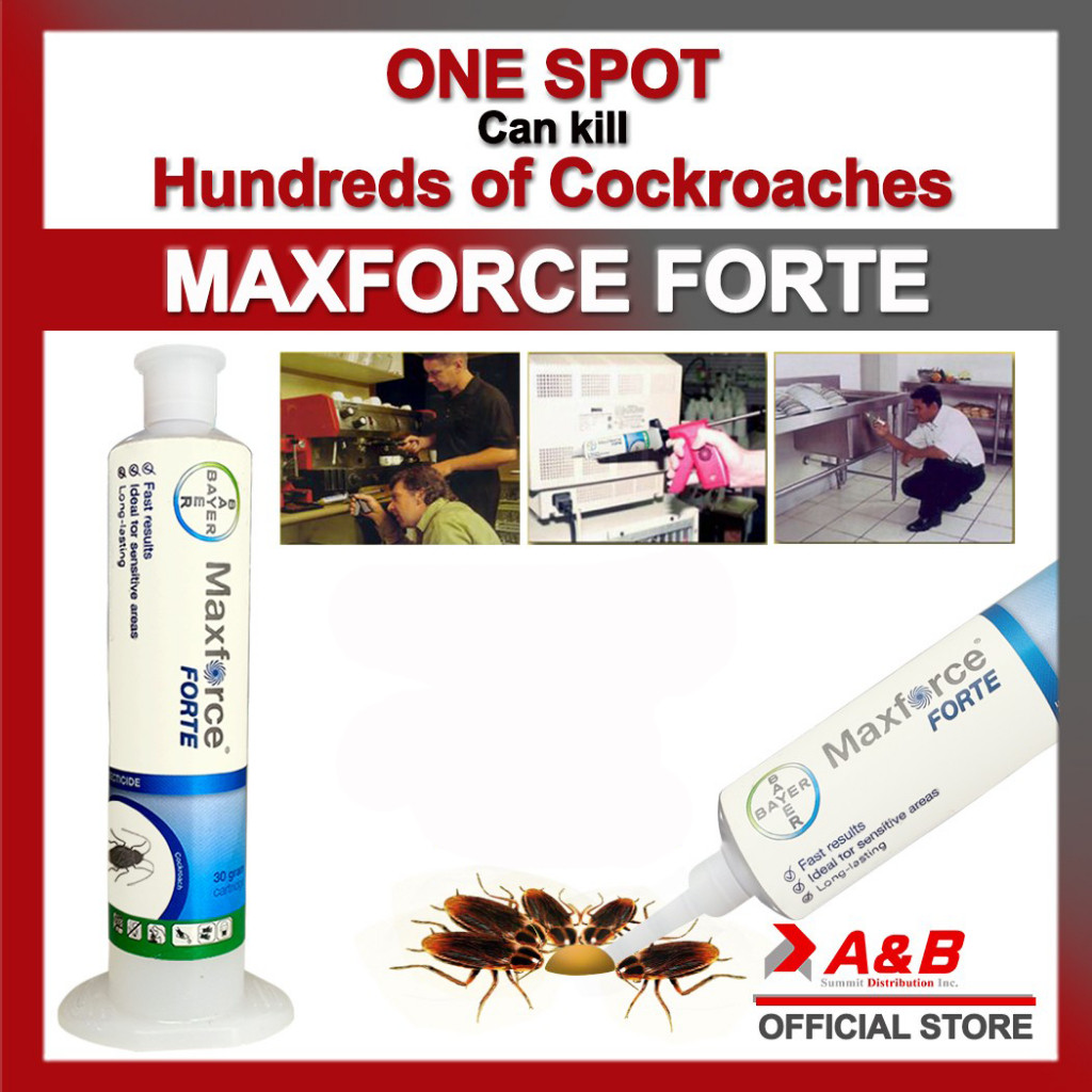 ในสต็อก Bayer Maxforce Forte แมลงสาบ killer Gel Bait 30 g Tube - พร้อมใช้งาน professional Roach Gel 