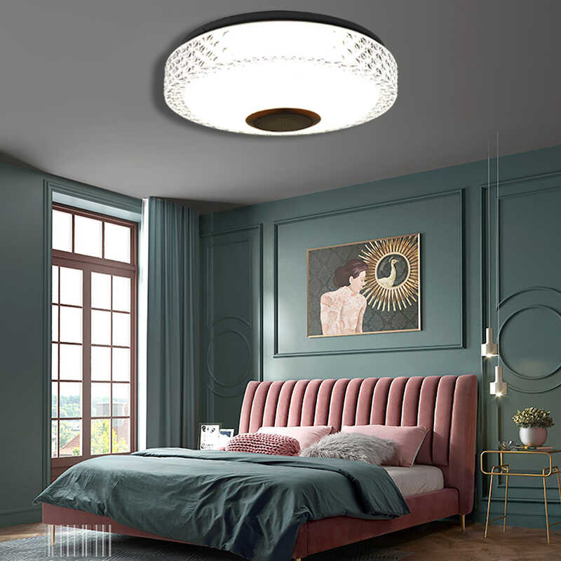 【D30cm】(49Led) 🍀 LED Ceig Light Bluetooth Music Speaker Acrylic Dimmable RGB With Wall Switc