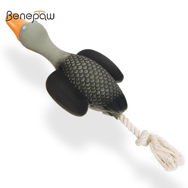Benepaw Squeaky สุนัขของเล่น Wild Goose Interactive Tug of War ของเล่นสําหรับสายพันธุ์ขนาดกลางขนาดเล็ก Premium Latex เชือกของเล่นลูกสุนัขของขวัญสําหรับดึงการงอกของฟันความเครียดบรรเทา