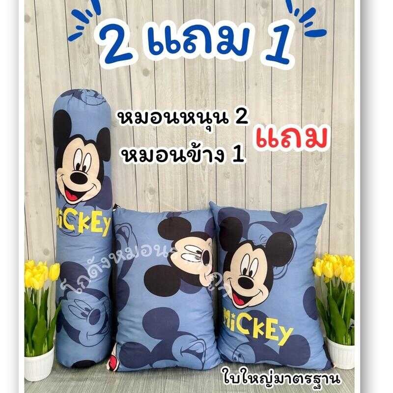 หมอนหนุน 2 แถม หมอนข้าง 1 ใบ