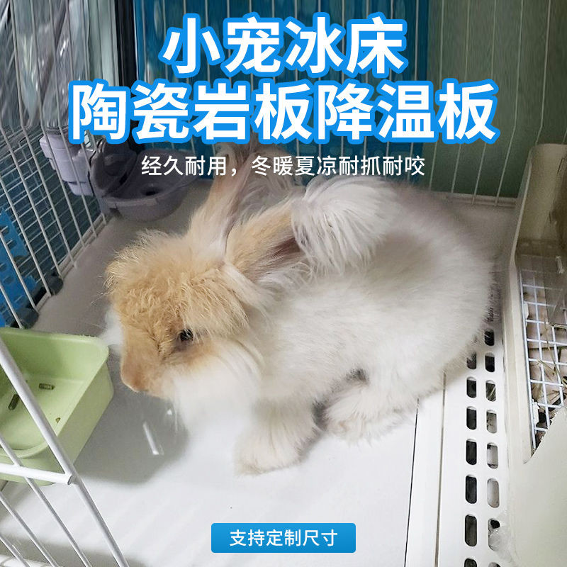 จานระบายความร้อนในฤดูร้อน PET แผ่นความเย็นหินสามารถปรับแต่งกระต่าย Chinchilla Dayang R100R81R71R61
