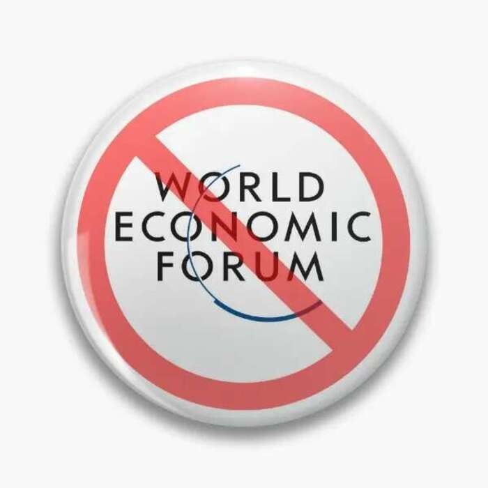 Wef World Economic Forum นุ่มปุ่ม Pin เข็มกลัดคอ Lover Badge เครื่องประดับน่ารักสร้างสรรค์หมวกตกแต่ง