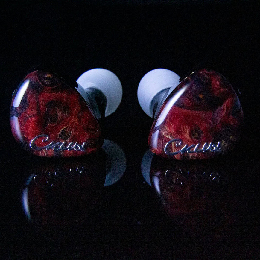 Myer-audio CKLVX D62 2DD + 6BA Hybrid Drivers In-Ear Monitor หูฟัง