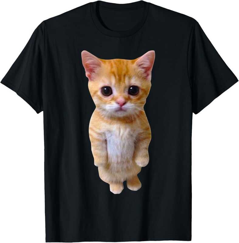El Gato Meme Sad Crying Cat Munchkin Kitty Meme เสื้อยืดอินเทรนด์