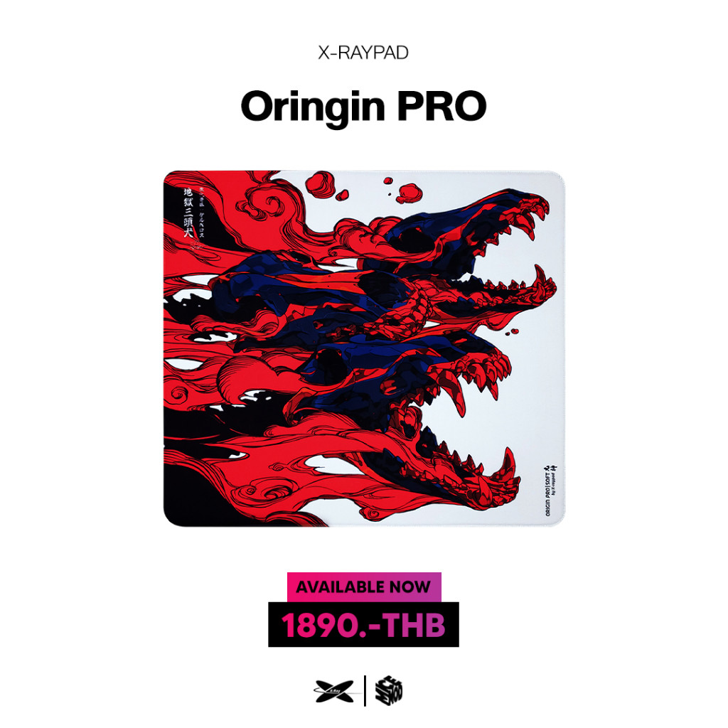 แผ่นรองเมาส์ X-raypad Origin PRO (Uncoated)