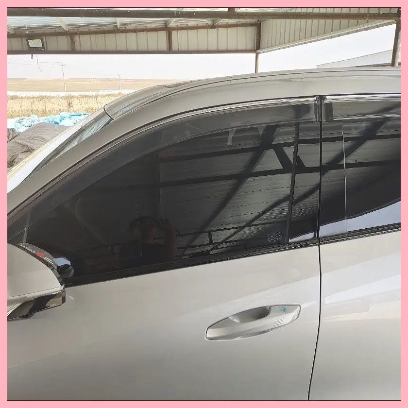 【Aion V 2025】 AION AION V WINDON