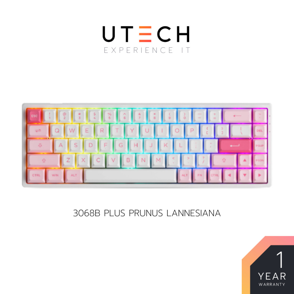 คีย์บอร์ด Akko 3068B Plus Prunus Lannesiana RGB Bluetooth Wireless Hotswap Mechanical Keyboard คีย์