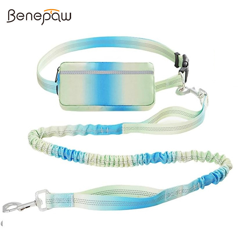 ​​Benepaw แฮนด์ฟรีสายจูงสุนัข Heavy Duty Bungee สะท้อนแสง Dual Handles Strength Nylon สําหรับสุนัขขนาดเล็กขนาดกลางขนาดใหญ่รถปลอดภัย Seatbelt คลิป​​
