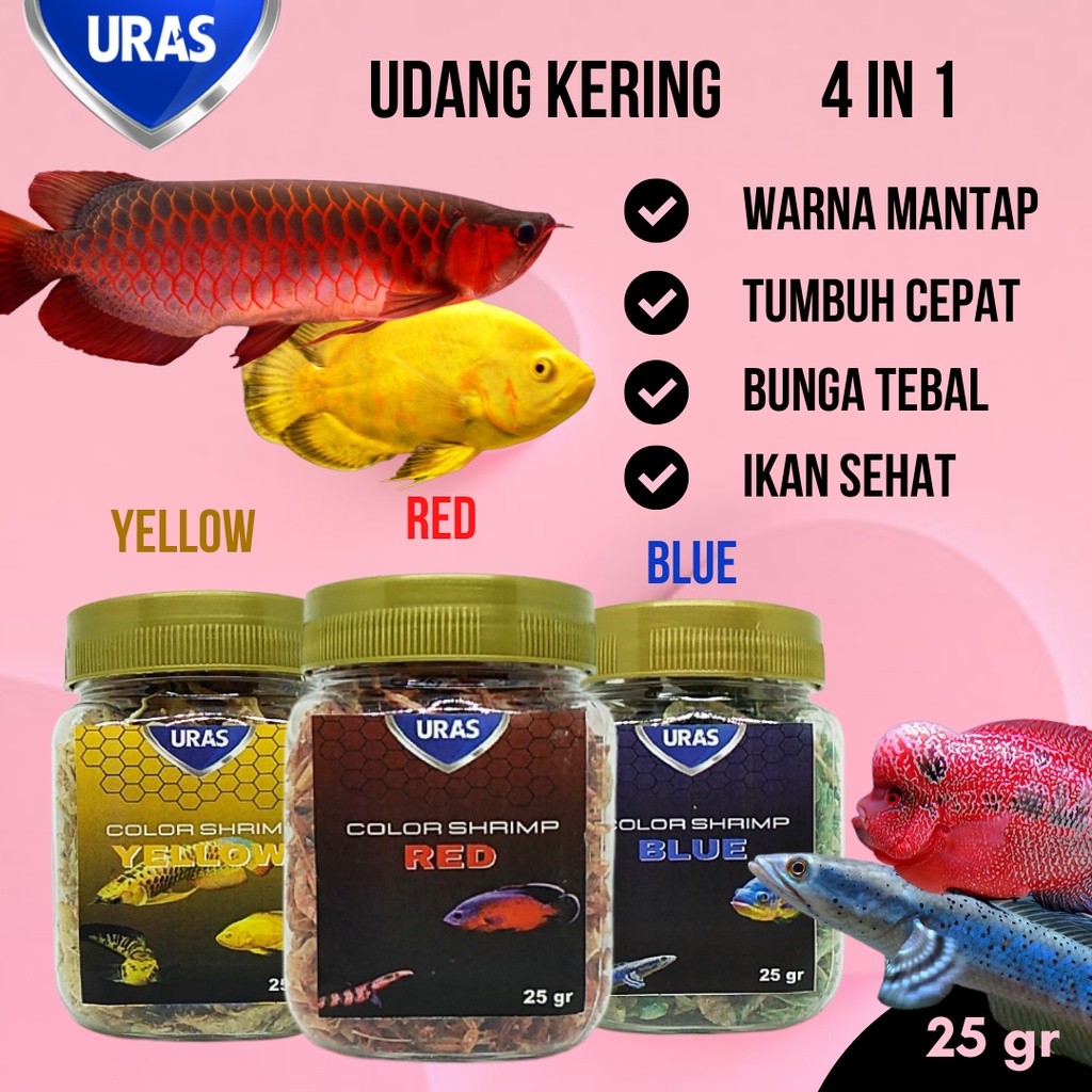 ในสต็อก กุ้งแห้ง อาหารปลา Channa Maru สีเหลือง Sentarum Auranti Limbata Tiedye Oscar Tiger Batik Alb