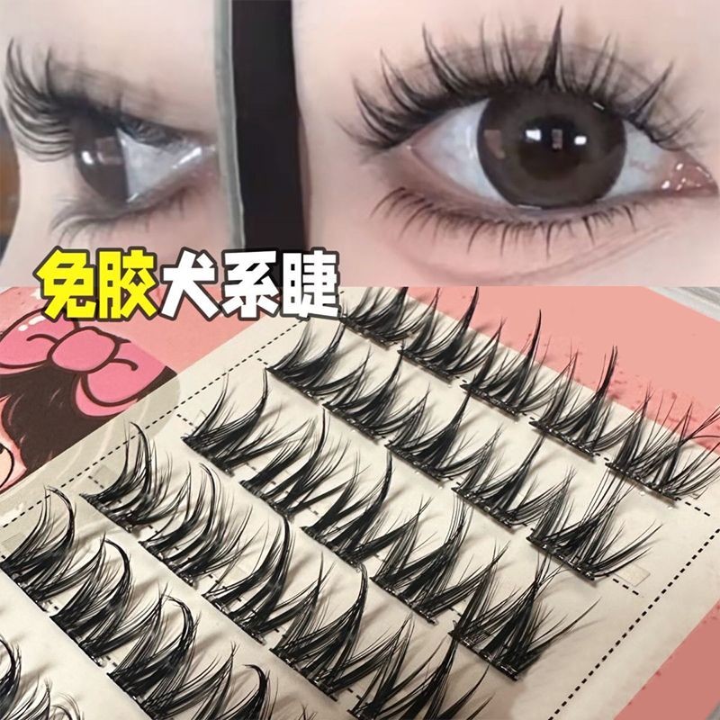 ไร้กาว 100 Clusters Of Dog Series ~ Lazy Dog eyelash การ์ตูนธรรมชาติสามเณร Jelly กาวไม่มีกาว