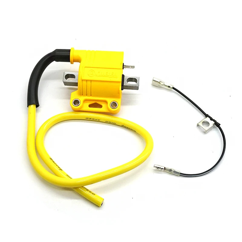 Motorcycle Ignition Coil For BOSUER M2 M4 M6 KAYO T6 K6 CQR A1 KEWS HJ250H