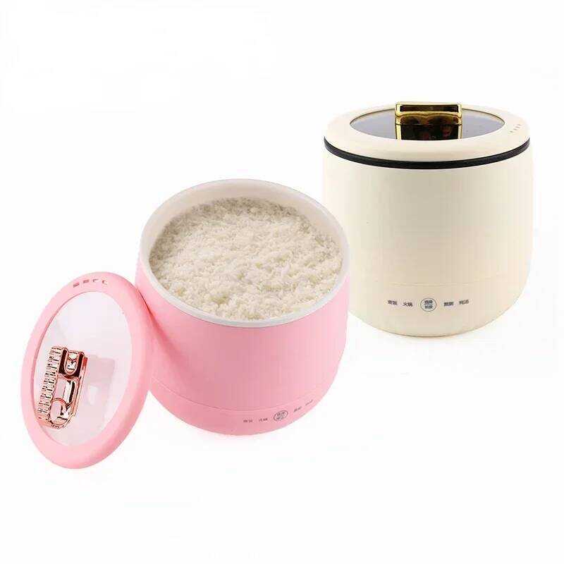 C DMWD Multifunctional Electric Rice Cooker Hotpot Skillet Soup Porridge Stew Shabu Non-Stick Ceram