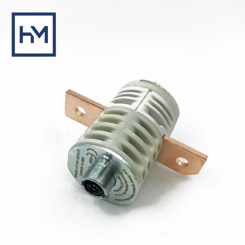 OE: 1008-P1-69260767  9J915463A 0Z195463H Battery Cut Off Fuse Overload Protection Trip  for  Porsc