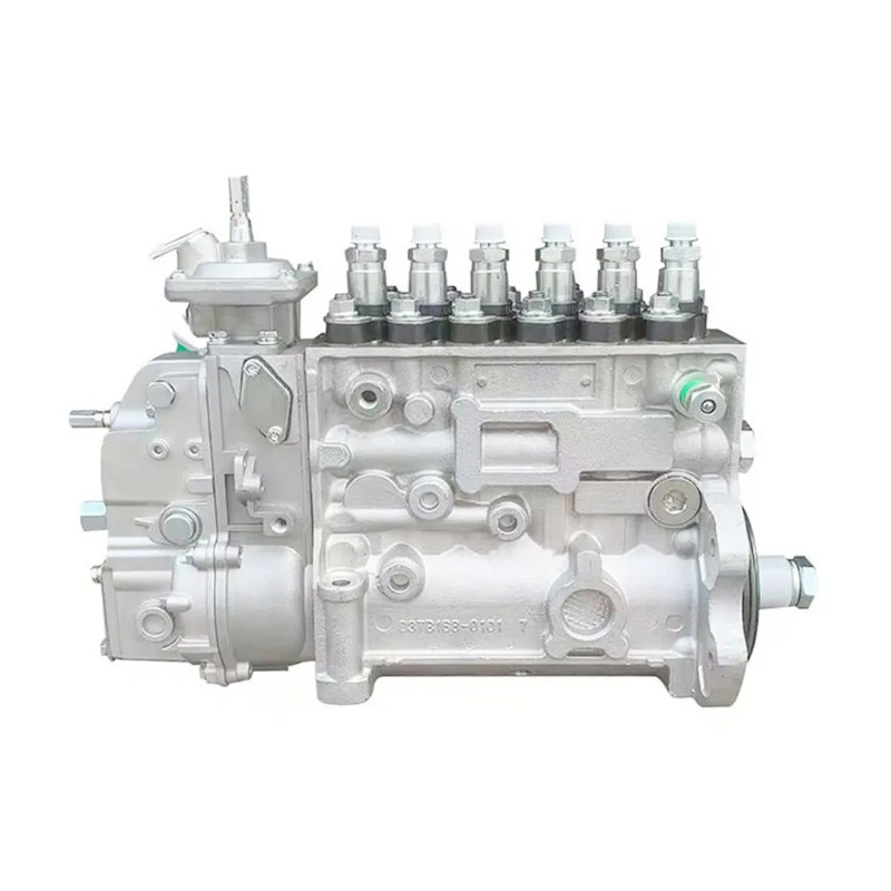 BH6P110 S00005170+01 5D76 BHT6P110 P10Z002 5676 BH6P110 P10Z005 5854 Fuel Pump