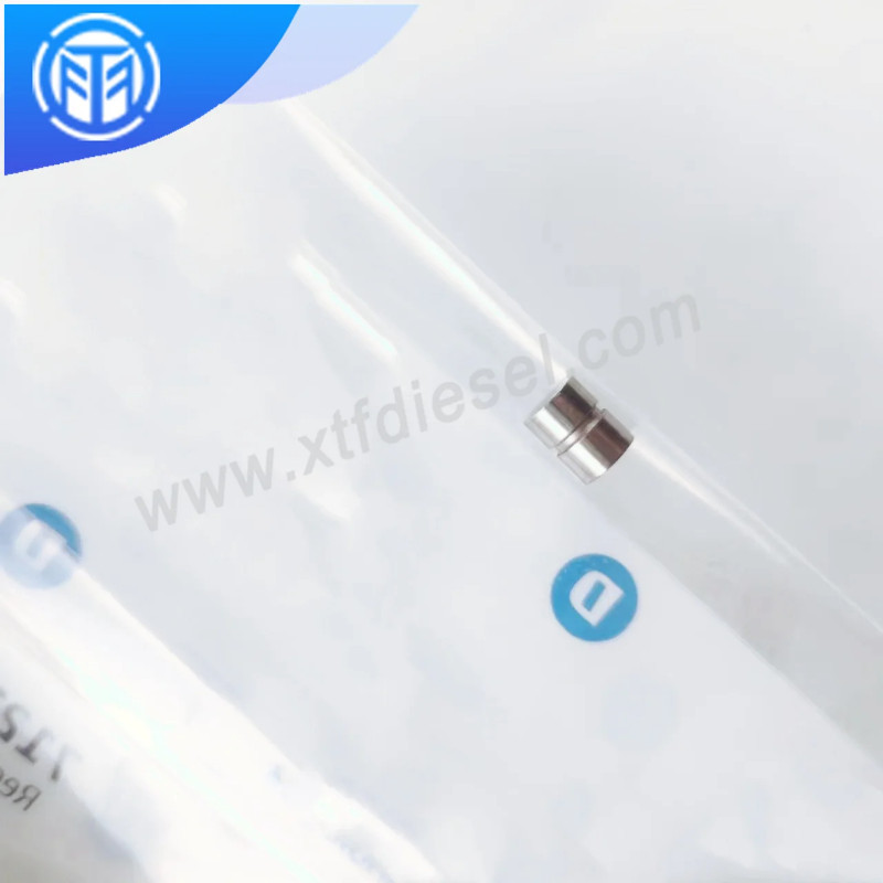 Regulating Piston 7123-015G Common Rail Pump High Quality Fuel Pump Repair Kit 7123-015G 100% Origi