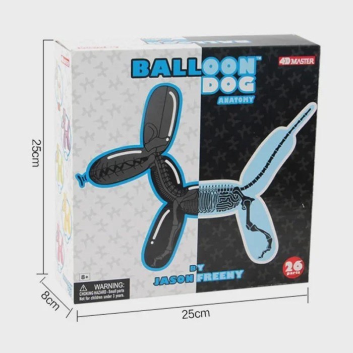 Big Balloon Dog 4d Assembling Toy Perspective Bone Anatomy Model Transparent Skeleton Model