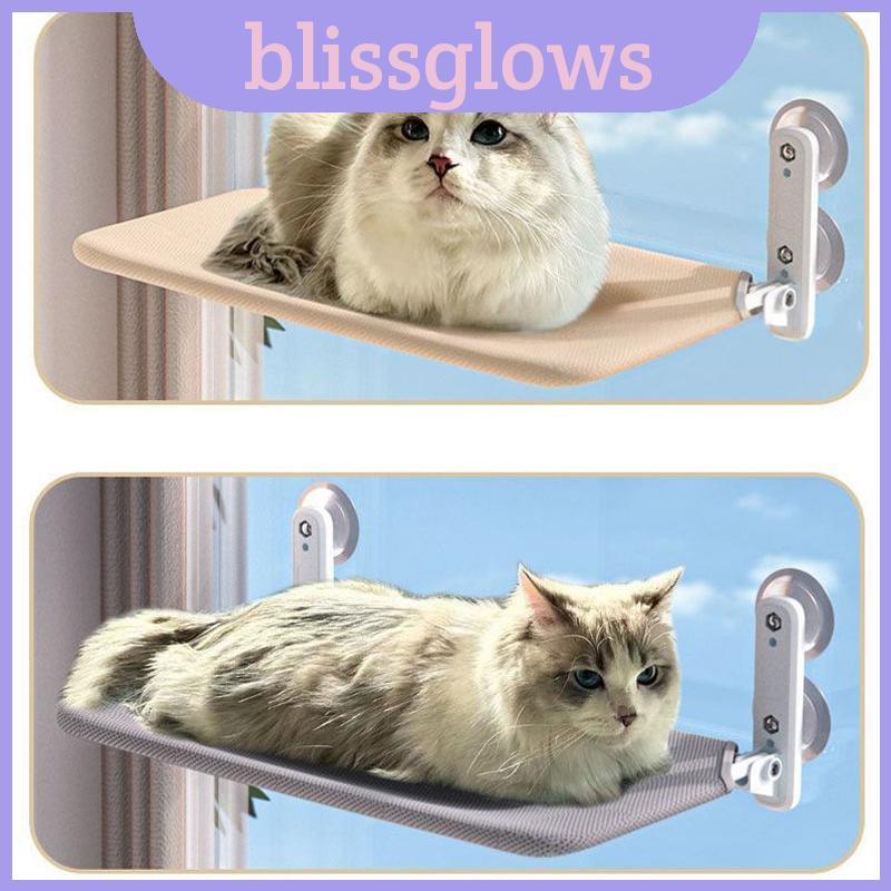 เก้าอี้แมวพร้อมตัวดูดสําหรับอาบแดดและพักผ่อนในร่ม Scenario