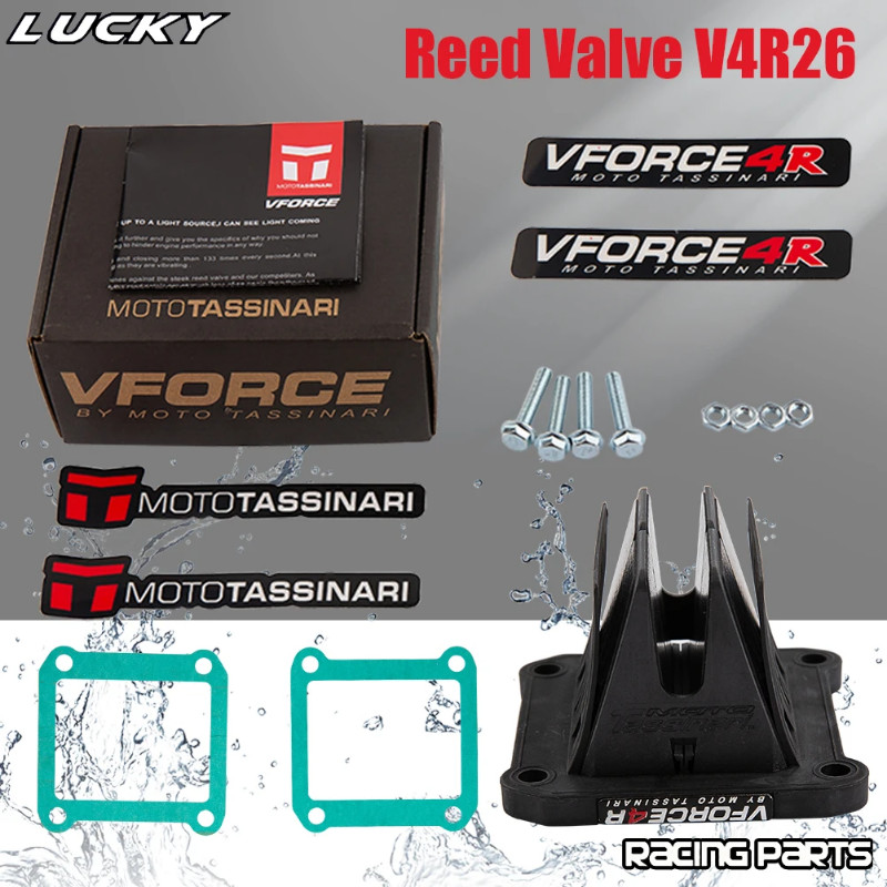 V4R26 Reed Valve for KTM GasGas Beta 125 150 250 300cc Husqvarna Carbon Fiber Enduro Dirt Bike Acce