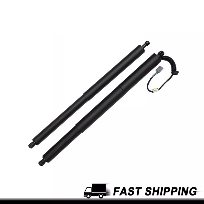 FT4Z14B351A105 FT4Z58406A10B Power Hatch Lift Support For 2015 2016 2017 2018 Ford Edge Tailgate Ga