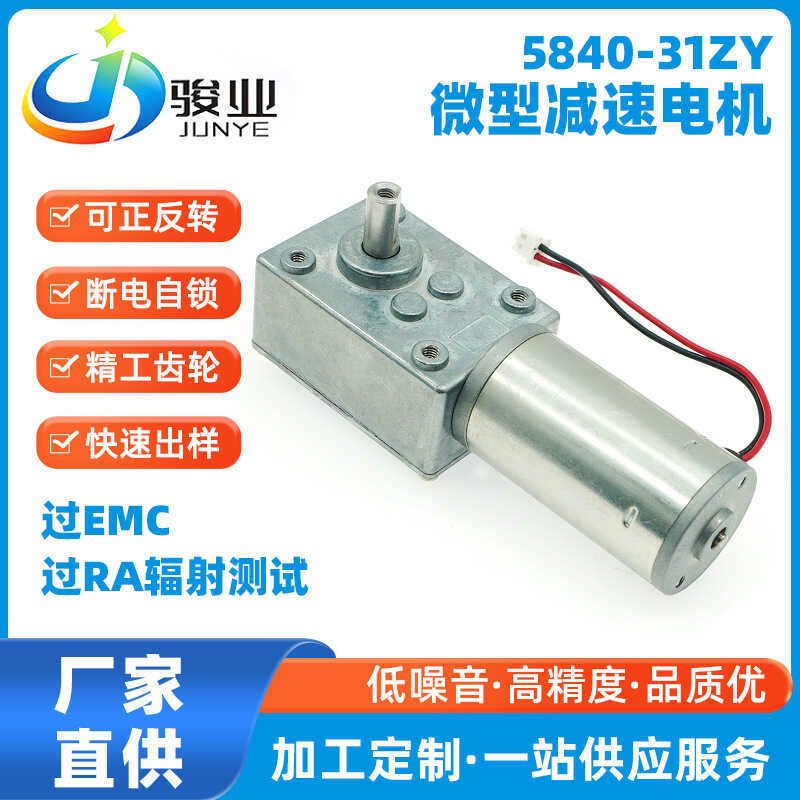 5840-31ZY Micro Gear Motor ล้อหอยทากหอยทาก Self-Locking DC Gear Motor 12V24V มอเตอร์