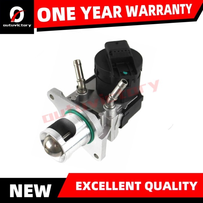 EGR Valve 11717810871 11717805447 11717823210 For BMW N47 N57 1 2 3 4 5 6 7 Series X1 X3 X4 X5 X6