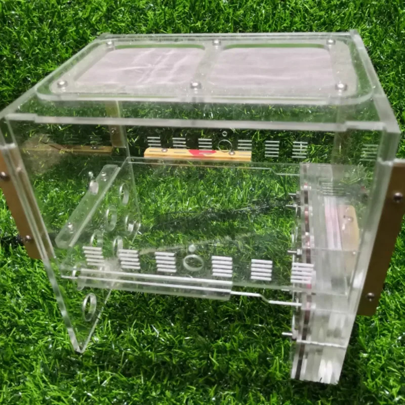 8 Test Tube Nest Adopts 18 Caliber Test Tube Large Colony Ant Nest Acrylic Test Tube Ant Nest Insec