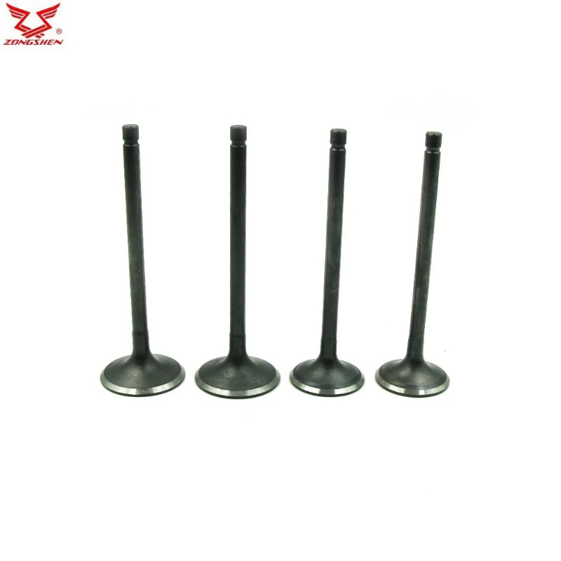 Inlet outlet Valve For ZS177MM ZONGSHEN Engine NC250 KAYO T6 BSE J5 RX3 ZS250GY-3 4 Valves Parts