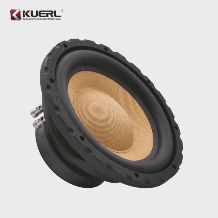 Wholesale 10 Inch Car Subwoofer Speaker with High Quality Full Range o Bass Electric Horn Design 12