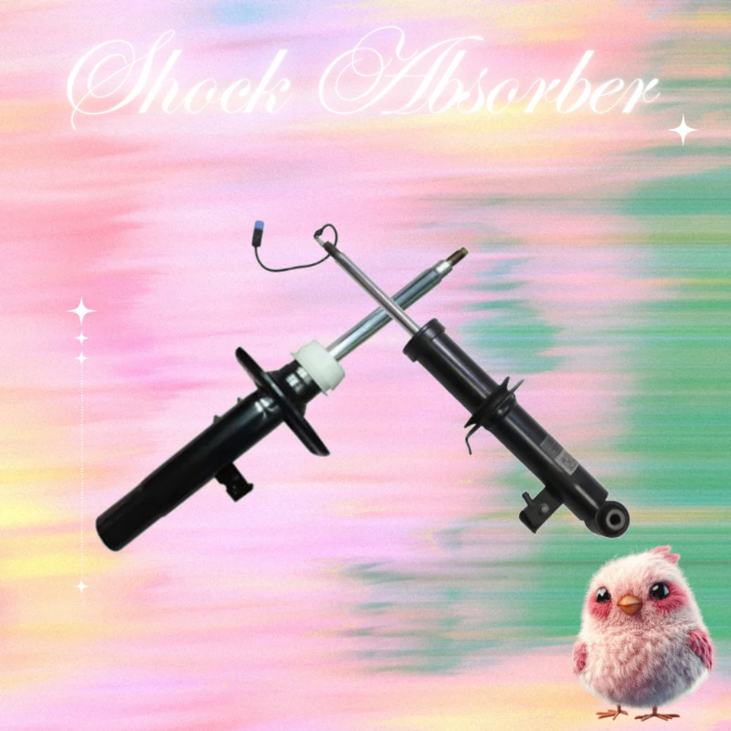 37108067505 37108067506 31318067507 31318067508 Front/Rear Shock Absorber For BMW X3M F97 2019-2024