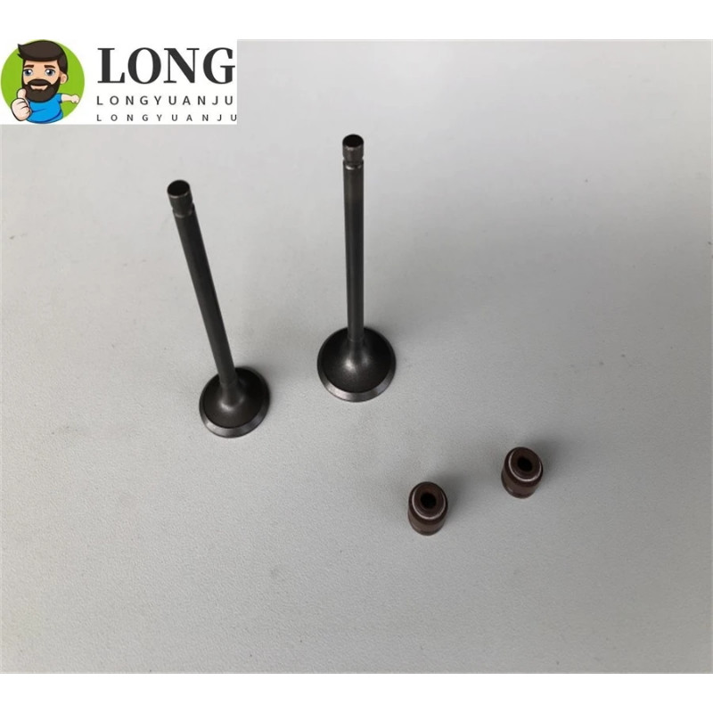 Motorcycle engine intake valve exhaust valve oil seal For Haojue Suzuki LINDY125R UZ125 HJ125T-18-2