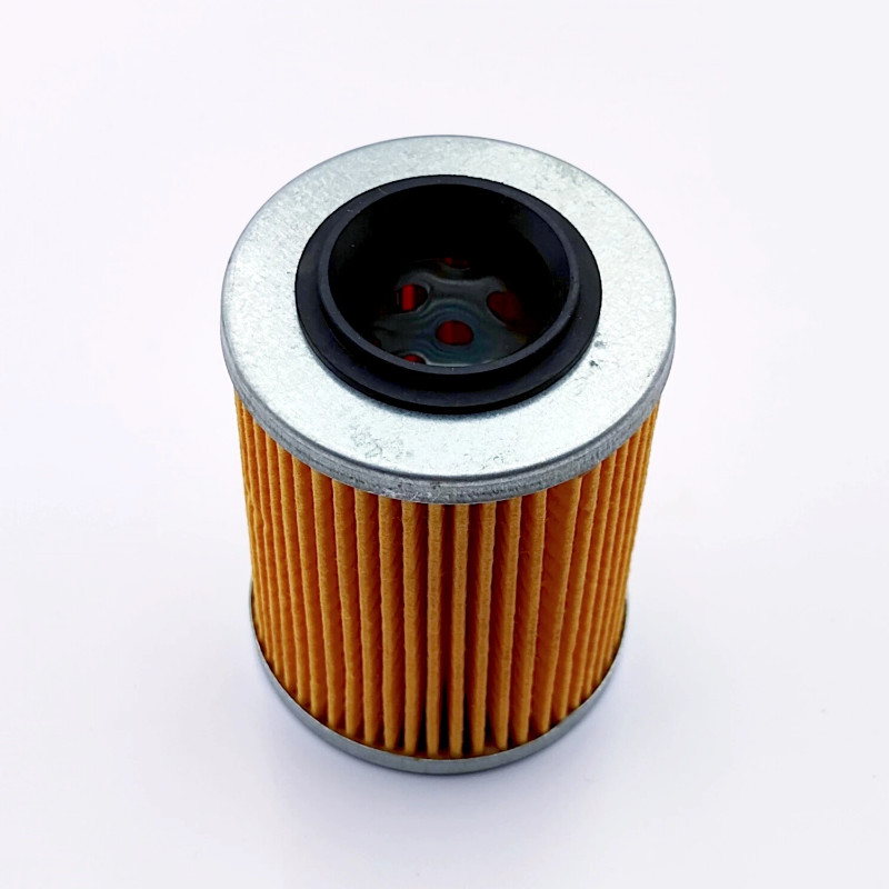 Oil Filter for Stels ATV 650 800 850 Guepard 1520A-E05-000 101701-001-0001 LU049856 LU071980 Russia