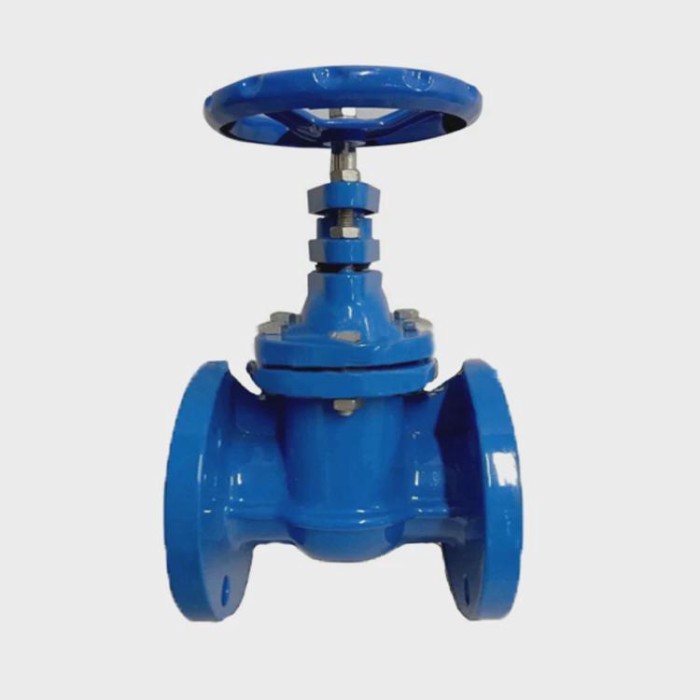 DN80-400 BS AWWA Ductile Iron Gate Valve With Flange