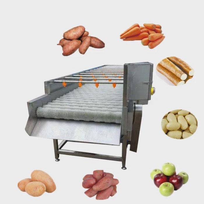 China industrial vegetable beet potato chips washing machine high capacity tomato potato brush citr