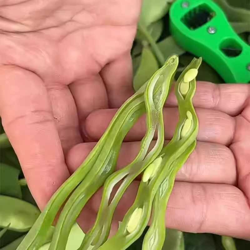 ✅Bean Shredder ครัวเรือนขนาดใหญ่ Hand-Cranked Kidney Bean Brushed ใส่ Kidney Bean ตัด Bean มุมเครื่อ