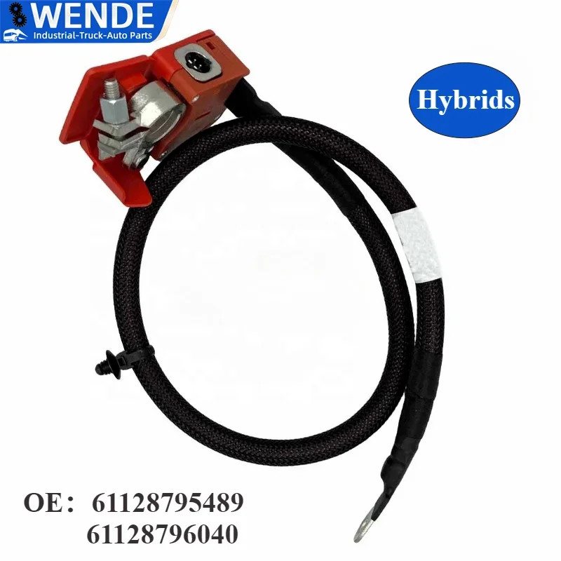 61128795489 61128796040 Positive Battery Fuse Cable Automotive Parts for BMW X5 G05 X7 G07 Hybrids