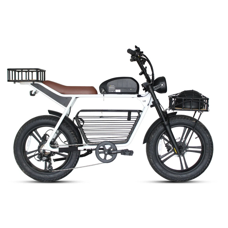 1000W 48V 16Ah Electric Bicycle E-Mountain Bike Off Road Electric Fat Tire Bicycle E-Bikes Hybrid E