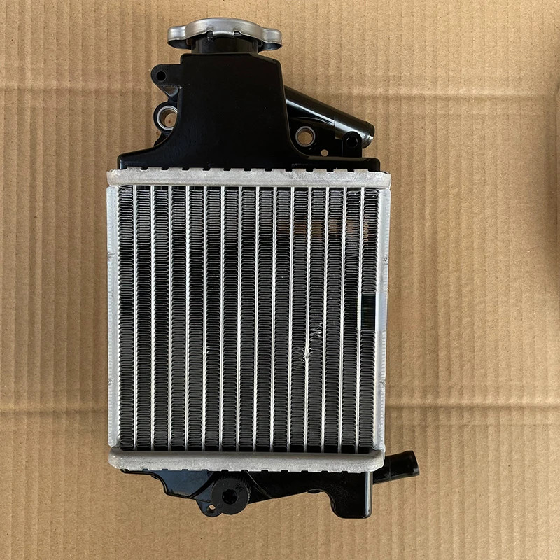 Motorcycle Kpv150/ Lf150t-8 Pedal Water Tank Assembly Radiator Assembly