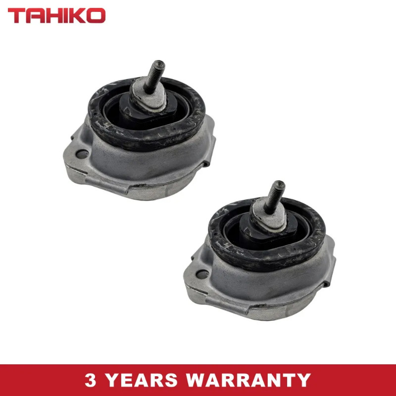 Front Engine Motor Mount Mounts Fit for BMW E53 X5 4.4i V8 L R HYDRAULIC 2pcs