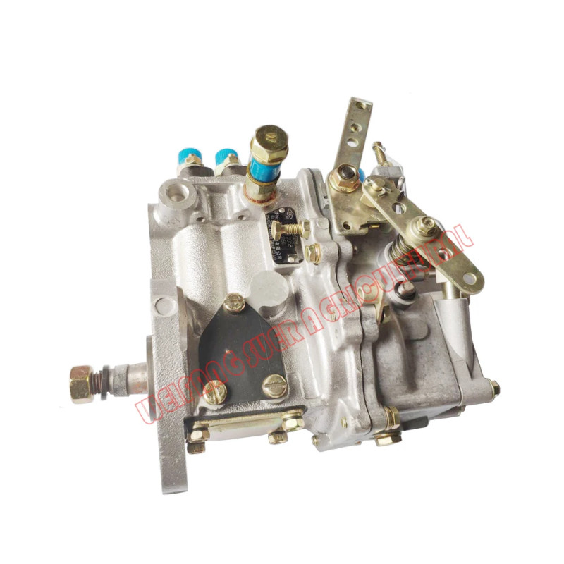 High pressure fuel pump BH2Q85R8 for Feidong engine FD295D2