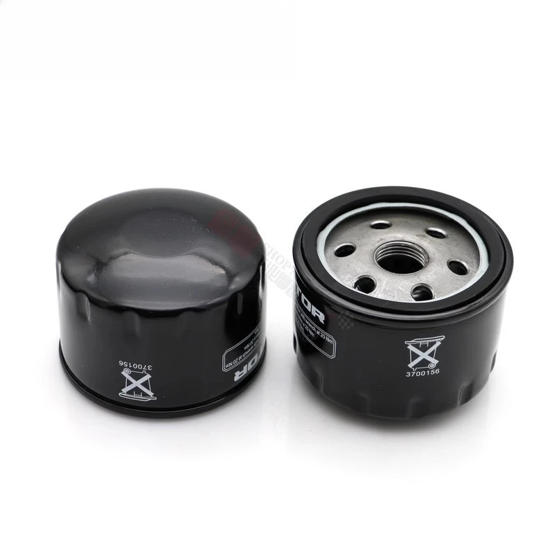 Motorcycle Oil Filter for Scooter QJMOTOR 350 FORT350 QJ350T-2D