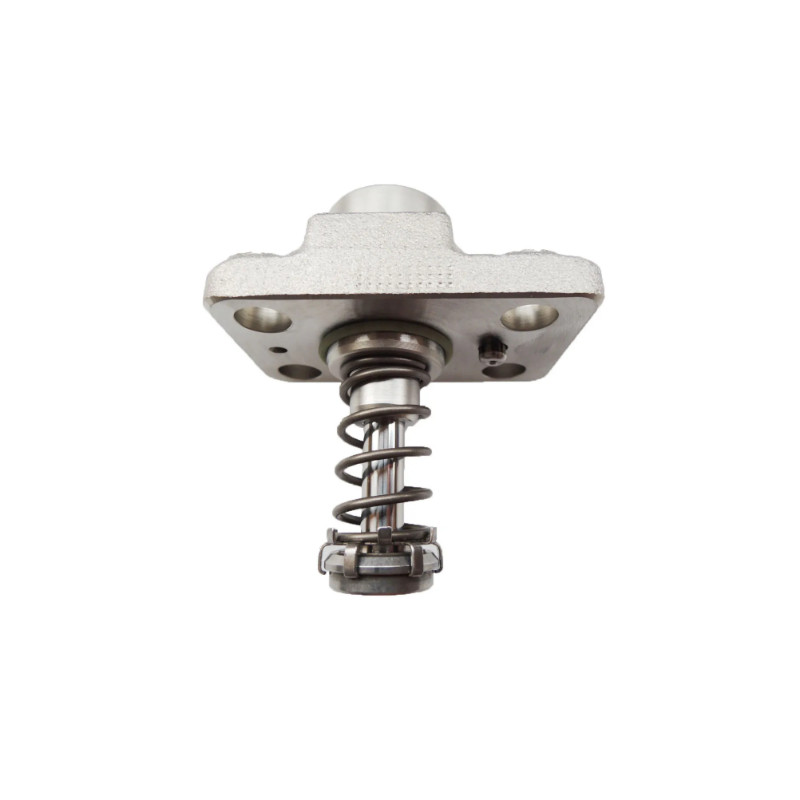 CP1 CP1H CP1H3 Electric Fuel Injection Pump Plunger F01M101781 F01M100869