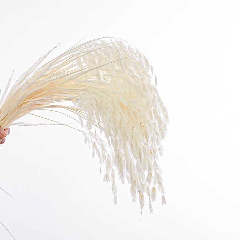ดอกไม้ที่เก็บรักษาไว้ Xiaopaao วรรณกรรมสไตล์ Lingfengcao Bleaching ดอกไม้แห้งช่อดอกไม้วัสดุ Kunming 